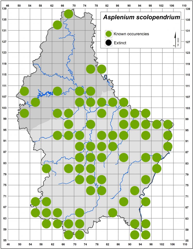 Map of Asplenium scolopendrium