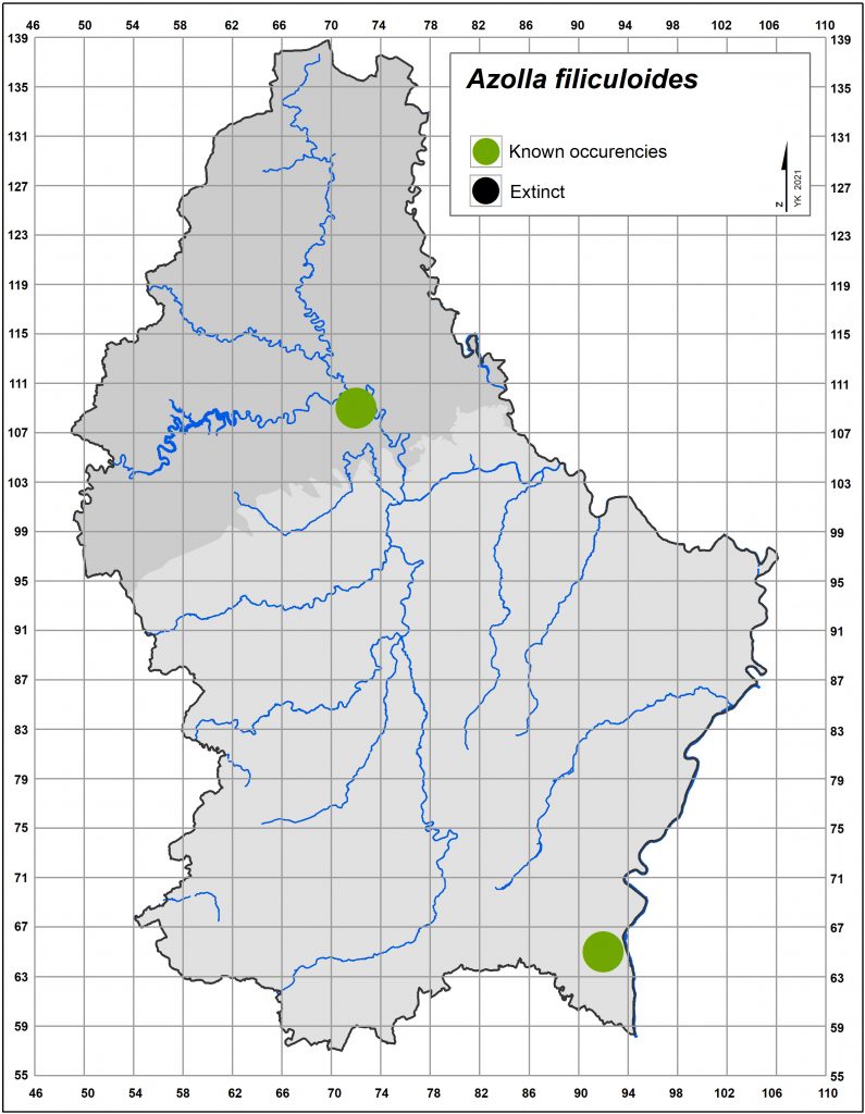 Map of Azolla filiculoides