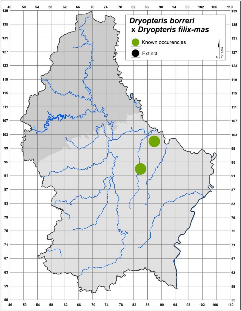 Map of Dryopteris x critica