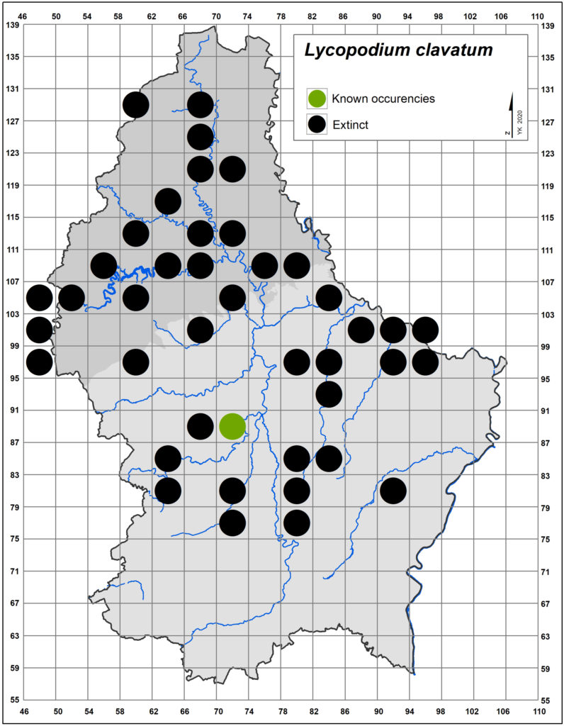 Map Lycopodium clavatum